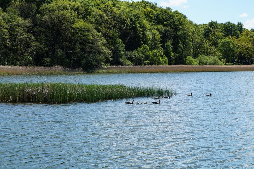 Impressionen der Umgebung