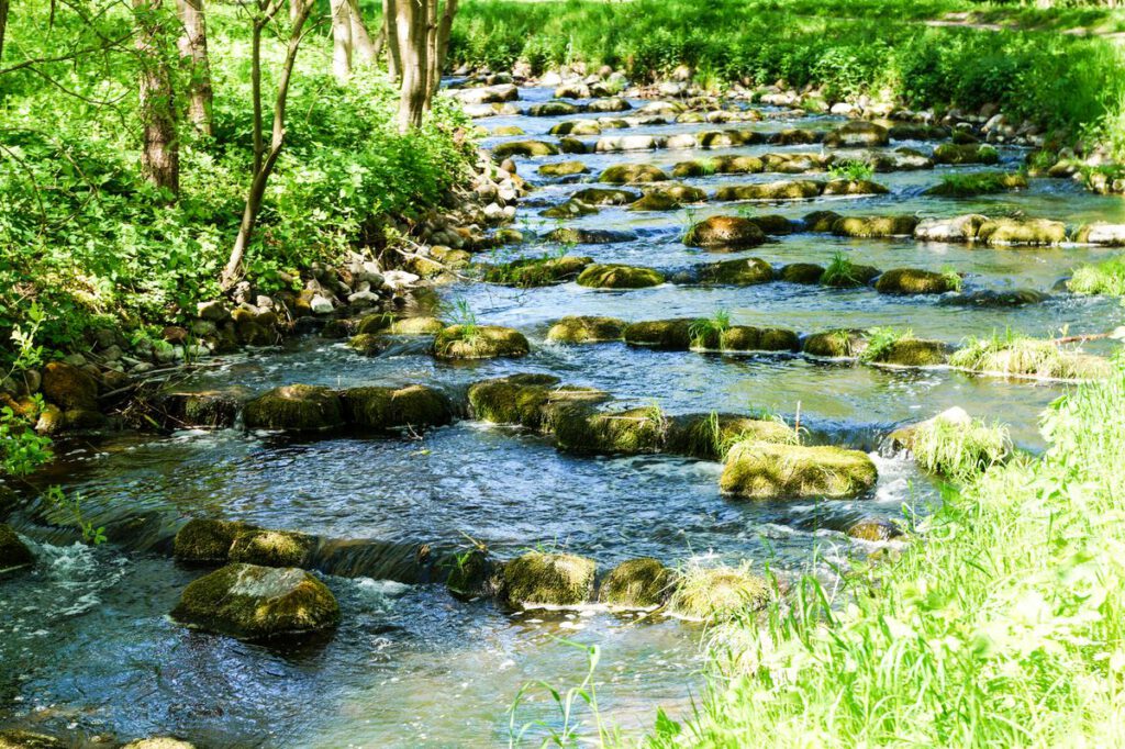 Impressionen der Umgebung